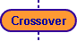  Crossover 